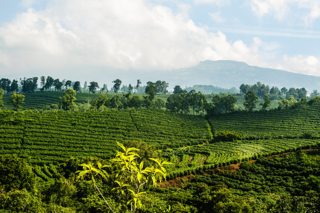 Landscape photography in Costa Rica. Witness breathtaking sunrises and sunsets over volcanoes, beaches, and rainforests.