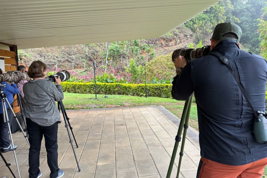 Physis Photo Tours - Costa Rica | costa-rica-photography-sessions-physis-andy-bezara-100