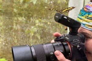 20 Tips for Planning Your Photography Tour in Costa Rica by Physis Photo Tours