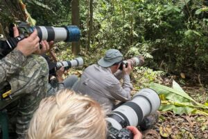 Physis Photo Tours - Costa Rica |