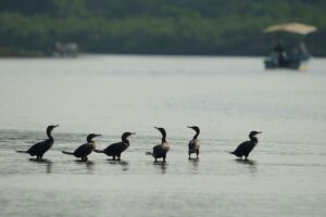 The Best Times of Year to Photograph in Costa Rica