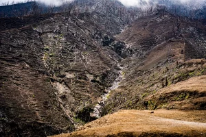 Physis Photo Tours - Costa Rica |