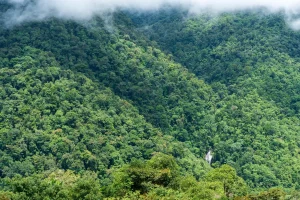 Physis Photo Tours - Costa Rica |