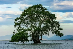 Physis Photo Tours - Costa Rica |