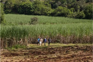 Physis Photo Tours - Costa Rica |