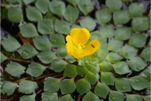 Physis Photo Tours - Costa Rica |