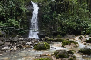Physis Photo Tours - Costa Rica |