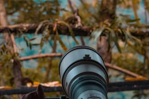 Physis Photo Tours - Costa Rica |