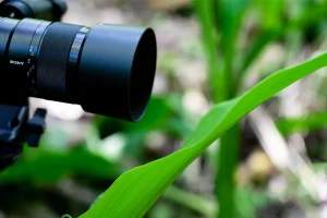 Physis Photo Tours - Costa Rica |