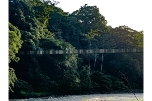 Physis Photo Tours - Costa Rica |