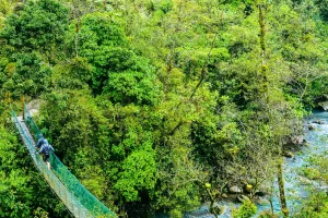 Physis Photo Tours - Costa Rica |