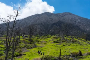 Physis Photo Tours - Costa Rica |