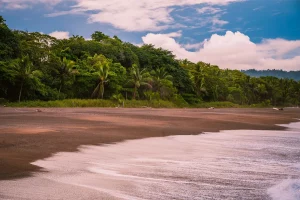Physis Photo Tours - Costa Rica |