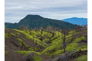 Physis Photo Tours - Costa Rica |