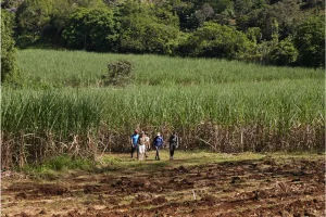 Physis Photo Tours - Costa Rica |