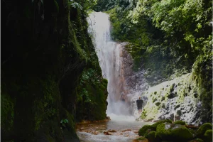 Physis Photo Tours - Costa Rica |