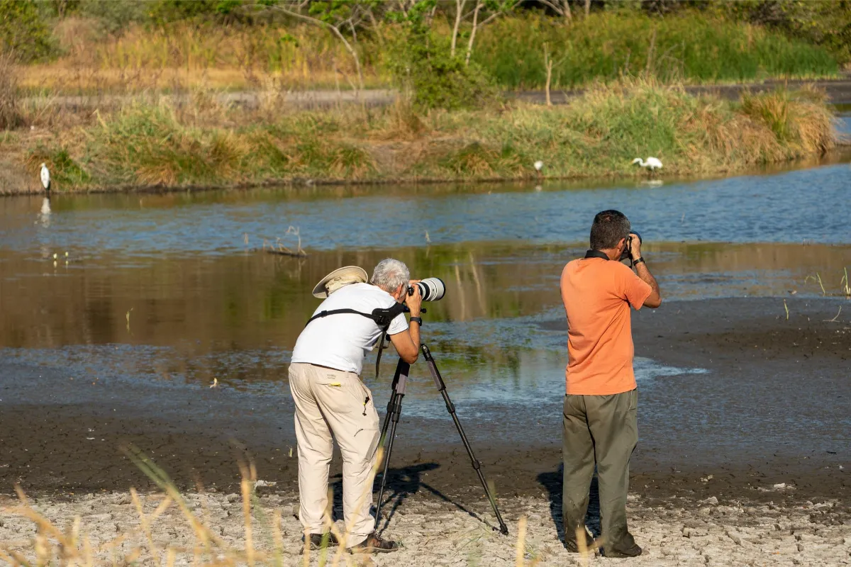 Physis Photo Tours - Costa Rica | Physis Photo Tours - Costa Rica |