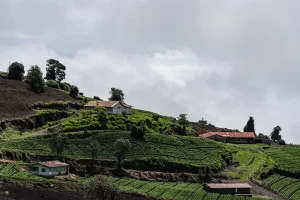 Physis Photo Tours - Costa Rica |