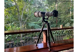Physis Photo Tours - Costa Rica |