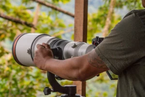 Physis Photo Tours - Costa Rica |