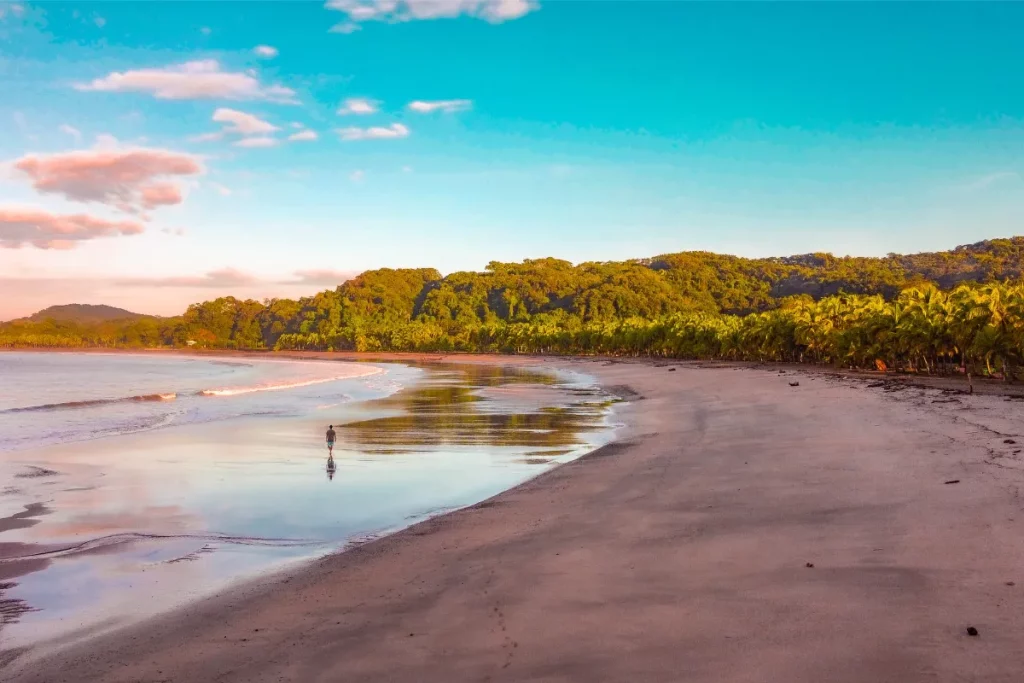 Physis Photo Tours - Costa Rica |