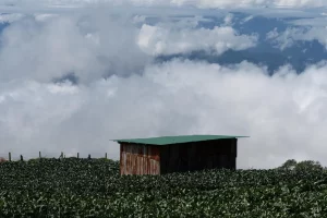 Physis Photo Tours - Costa Rica |