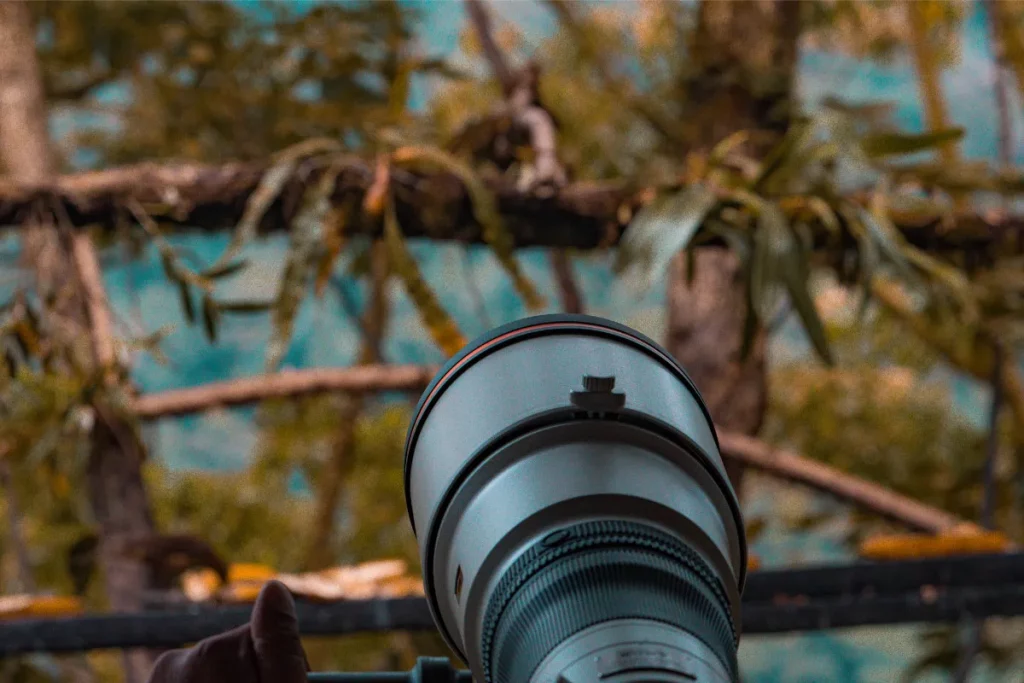 Physis Photo Tours - Costa Rica |