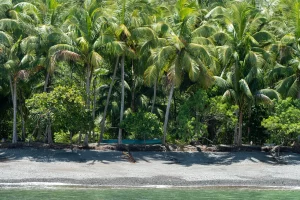 Physis Photo Tours - Costa Rica |