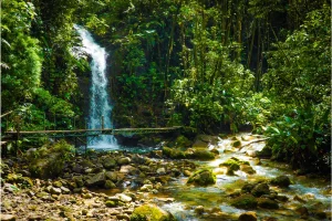 Physis Photo Tours - Costa Rica |