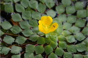 Physis Photo Tours - Costa Rica |