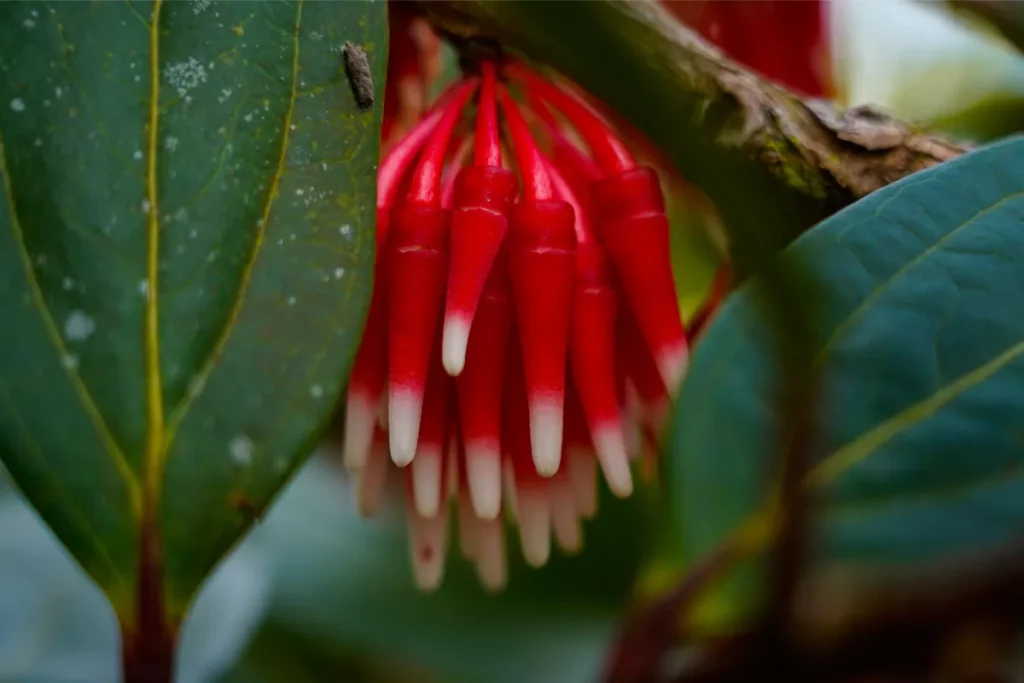 Costa Rica: A Photographer's Paradise