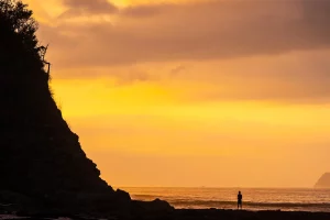 Physis Photo Tours - Costa Rica |