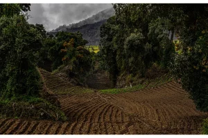 Physis Photo Tours - Costa Rica |