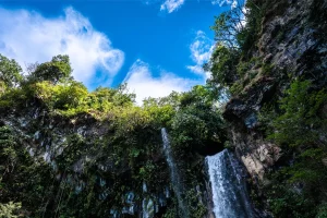 Physis Photo Tours - Costa Rica |