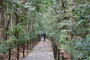 Physis Photo Tours - Costa Rica |