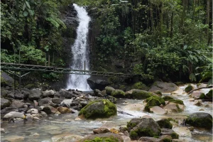 Physis Photo Tours - Costa Rica |