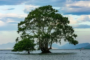 Physis Photo Tours - Costa Rica |