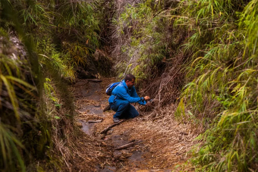 Physis Photo Tours - Costa Rica |