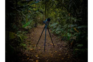 Physis Photo Tours - Costa Rica |