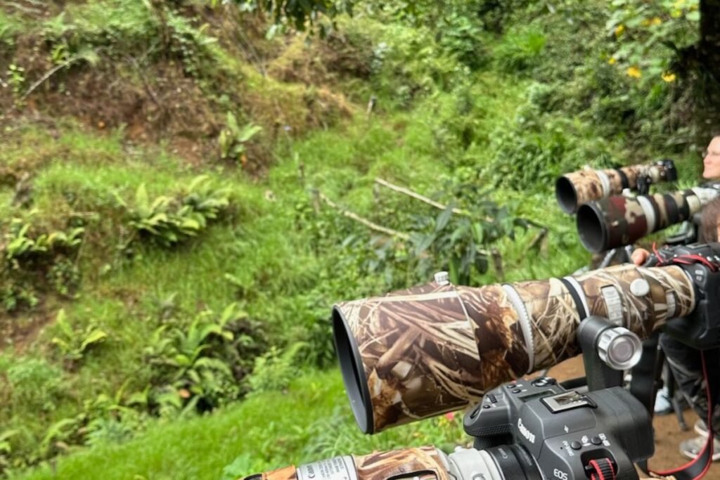 Physis Photo Tours - Costa Rica |