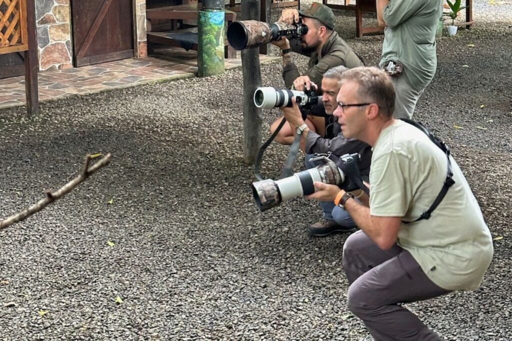 Physis Photo Tours - Costa Rica | Physis Photo Tours - Costa Rica |