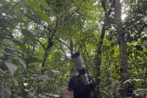 Physis Photo Tours - Costa Rica | Physis Photo Tours - Costa Rica |