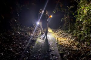 The Ultimate Guide to Wildlife Photography in Costa Rica