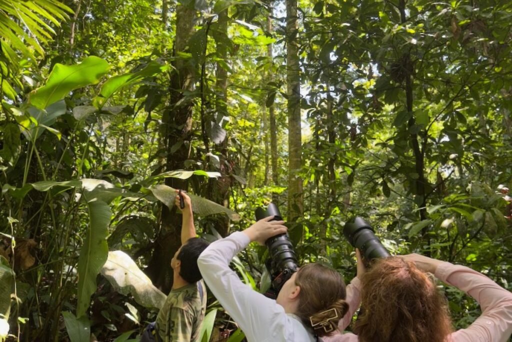 Physis Photo Tours - Costa Rica |