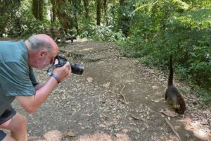 Physis Photo Tours - Costa Rica | Best Time of Year for Wildlife Photography in Costa Rica (2026–2027)