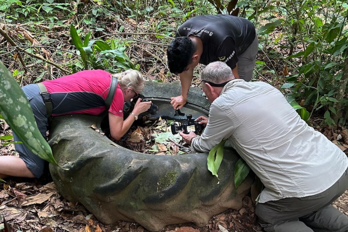 Physis Photo Tours - Costa Rica | Physis Photo Tours - Costa Rica |