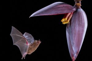 The Ultimate Photography Experience in Costa Rica