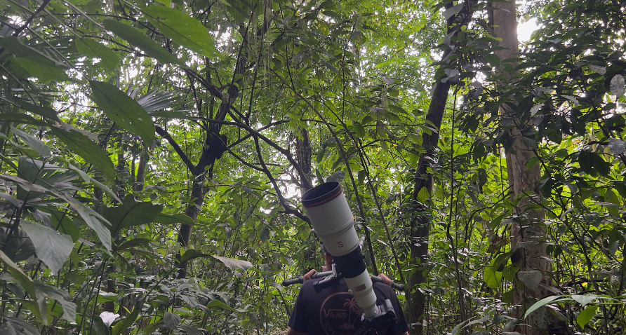 Physis Photo Tours - Costa Rica |